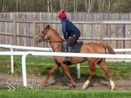 BP200326-19 - It's Hard To Know